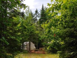 tent in the forest maine