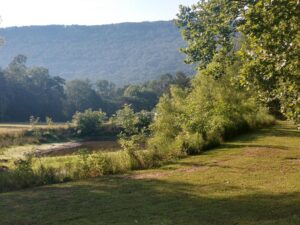 georgia state landscape