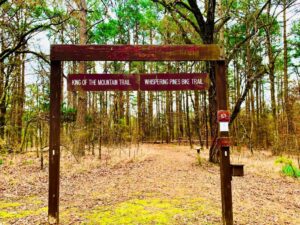 glamping site in louisiana