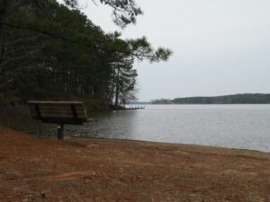 bank near lake louisiana