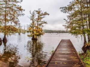 lake view in louisiana