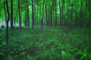 ironwood michigan glamping