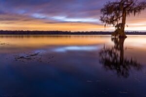 martin lake louisiana 
