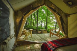 enjoy forest in glamping new york