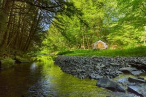 tent close the river ny